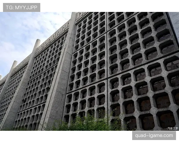 赖斯技术全面分析